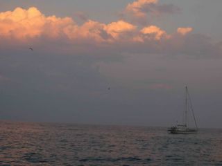 att-43c6713ba097d_187.jpg