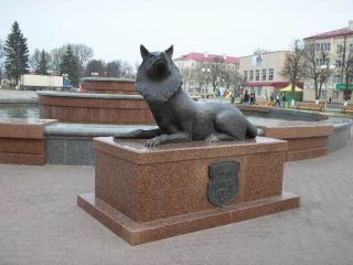att-445dd6fe3c1a71.jpg