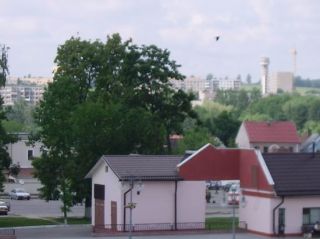 att-449d25095bc690481.JPG