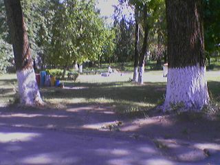 att-45f8fcf3cc8640118.jpg