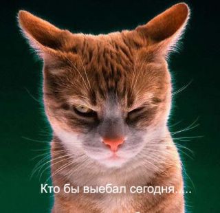 att-46e0e6aa37e12___1.jpg