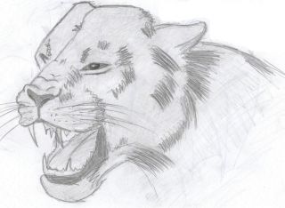 att-470f92915c6ce____.jpg