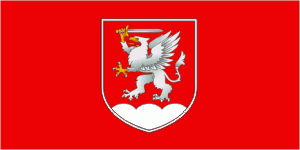 Флаг г.п.Красносельский